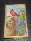 Cavanders Cigarette Card Foreign Birds #21 Philippine Sunbird (D18)