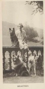 Keeshond Family "P" - CUSTOM MATTED - 1931 Vintage Dog Art "Photo" Print - Picture 1 of 1