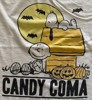 Peanuts Snoopy & Charlie Brown Candy Coma Halloween Boys Tee-shirt L Child Kid - Image 1 of 4