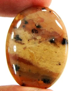 Piedra de envoltura de alambre de cabina de piedras preciosas sueltas de ágata de dendrita de miel natural de 30,05 quilates - 23281 - Imagen 1 de 2
