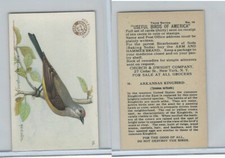 J7, Church & Dwight, Useful Birds America 3rd Ser., 1922, #16 Arkansas Kingbird