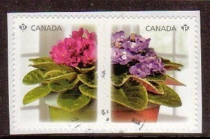 Canada 2010 Africain Violets Fin D'Occasion Paire - Picture 1 of 1