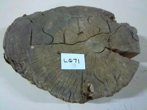 Extremo de troncos de madera para tala/madera con estampado TSY-Bay City, Mich~LG71 - Imagen 1 de 6