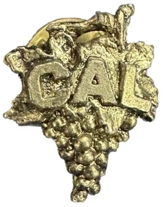 Prendedor solapa sombrero uvas CAL CALIFORNIA metal tono dorado vintage coleccionable ~1994~. - Imagen 1 de 2