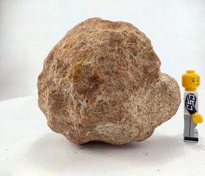 Muestra de cristal de cuarzo natural entero Kentucky nódulo geoda sin abrir de 3,5" 1,13 lb - Imagen 1 de 8