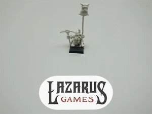 Warhammer FB Dwarf AoS Order: Marauder - Miner Standard Bearer (metal) - Imagen 1 de 4