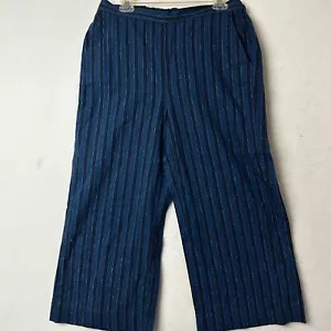 Banana Republic pants sz 10 Rowan Linen Blend Wide Leg Crop Blue Stripe NWT - Picture 1 of 5