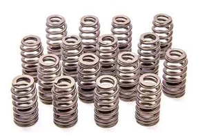 Ford Performance Boss 302R Valve Spring Kit 2011-up 5.0L Engine M-6513-M50BR - Picture 1 of 1