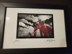 STAMPA FOTOGRAFICA ARTE incorniciata opaca firmata Neil R Brown "HORTON" - Foto 1 di 4