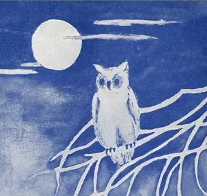 1912 Wise Old Owl Perched Branch Dark Blue Sky Full Moon Eerie Spooky Night B643 - Picture 1 of 3
