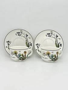 Villeroy & Boch Botanica Coffee Tea Cups & Saucers Tussilago Yellow Flower EXCL! - Picture 1 of 6