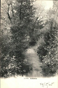 Otoño 1905 - Imagen 1 de 2
