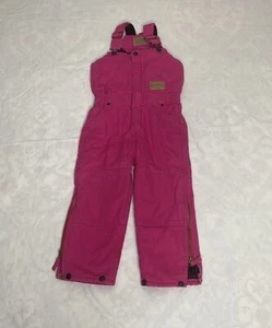 C.E. Schmidt for Kids Insulated Overalls Pink Workwear Farm Barn Sz 4T - Picture 1 of 12