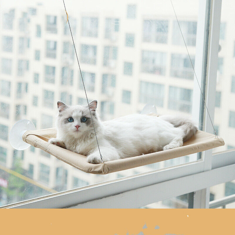 Pet Cat Window Perch Hammock Seat Large Cats Kittens Bed Shelves Furniture Wall