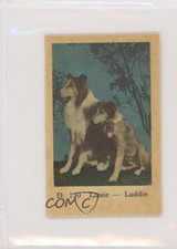 1961 Dutch Gum D Plain Text Set Lassie Laddie #D.130 f5h
