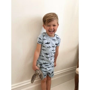 Boys Size 5-8 Huckleberry Blue Sharks Cotton Summer Short Sleeve Pyjama Set - Picture 1 of 4