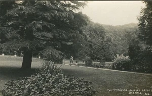 THE GARDENS, BURFORD BRIDGE, BOXHILL - Surrey Postcard Real Photo - Picture 1 of 2