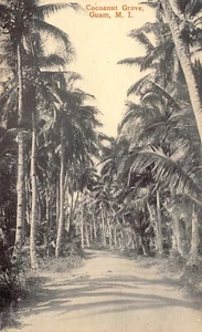GU - 1910’s Coconut Grove at Guam - Mariana Islands - South Pacific - Picture 1 of 2