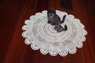 Muñeca American Girl Kirsten's RETIRADA 1ª Versión Mamá Gato y Gatito, Alemania Foto 1 de 4