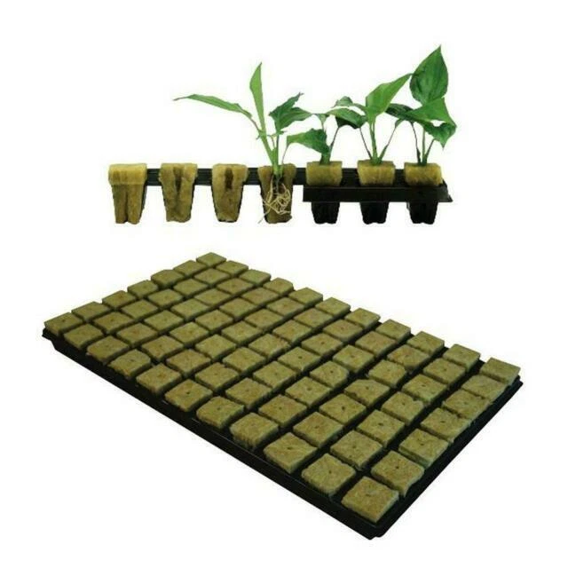 Grodan 36mm Propagation Cubes for Planting Cuttings, Tray of 77