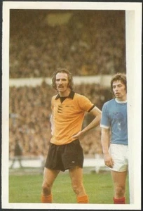 HOJA 100 AÑOS DE ESTRELLAS DE FÚTBOL-1987-#007-LOBOS E IRLANDA DEL NORTE-DEREK DOUGAN - Imagen 1 de 2