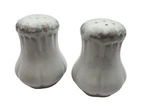 Vintage Salt and Pepper Shakers Porcelain Floral Design - Picture 1 of 7