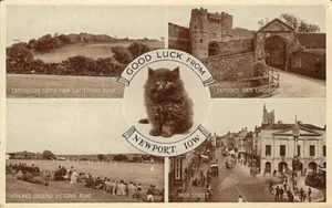 (ad11) Glückskatze aus Newport - Isle of Wight Postkarte - Bild 1 von 2