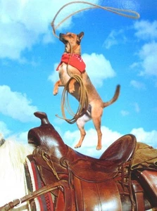 LAZO PERRO VAQUERO "¡Hoy todo gira a tu alrededor!" TARJETA DE CUMPLEAÑOS DIVERTIDA AVANTI - Imagen 1 de 2