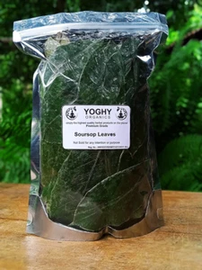 500 Soursop Leaves - 100% Natural, Dried and Cleaned Leaves for Teas - Picture 1 of 1