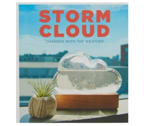 Google Storm Cloud: Ein Wettervorhersageinstrument Wettervorhersage Spaßwolke - Bild 1 von 4