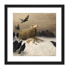 Schenck Anguish Sheep Ewe Crows Carrion Painting Square Framed Wall Art 9X9 In