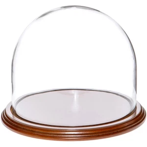 Plymor 8" x 6.5" Glass Display Dome Cloche (Walnut Veneer Base) - Picture 1 of 1