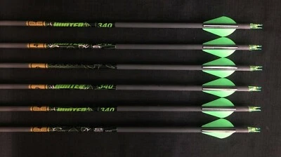 Gold Tip Hunter XT 340 Carbon Arrows  w/ 2" Raptor-X Vanes 6pk BRAND NEW - Image 1 of 4