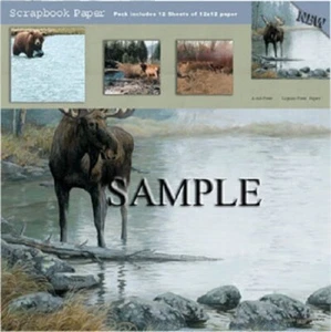 Large Game Scrapbook Paper Pre-Pack - Bild 1 von 1