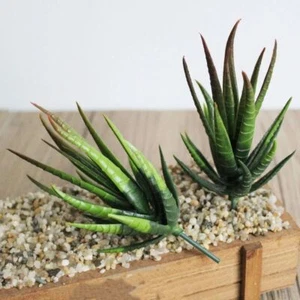 Mini Simulation Aloe PVC Kunstpflanzen Outdoor Indoor Dekoration - Bild 1 von 16