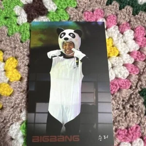 BIGBANG Seungri Panda Costume Postcard - Picture 1 of 2