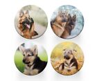 4 X Round German Shepherd Coasters - Animal Dog Pet Men Women Drinks Gift #78366