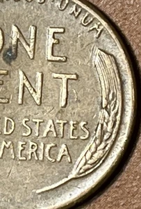 1955 Lincoln Wheat Cent Die Chips Reverse Stalks Error Coin Penny - Picture 1 of 5