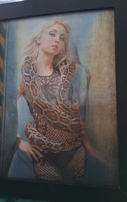 3D Hologramm Bild mit 3 verschiedenen Frauenmotiven mit Schlange, gerahmt - Bild 1 von 4