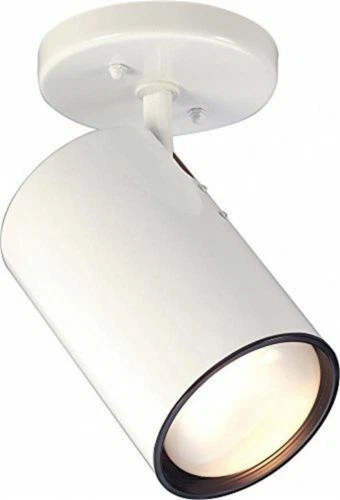 Nuvo Sf76/418 White 1 Light R30 Straight Cylinder