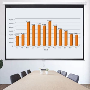 High Quality 100" 16:10 Outdoor Indoor Manual Pull-Down Projector Screen Portabl - Picture 1 of 22