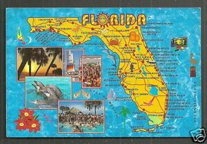 carte postale Florida Dolphins Beach Sunshine State FL timbre USA 