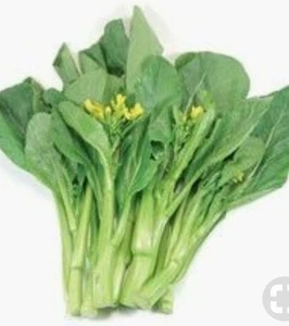 250 Plus Choy Sum-Gunsho Asian Green Seeds-Open Pollinated-Non GMO-Organic - Picture 1 of 3