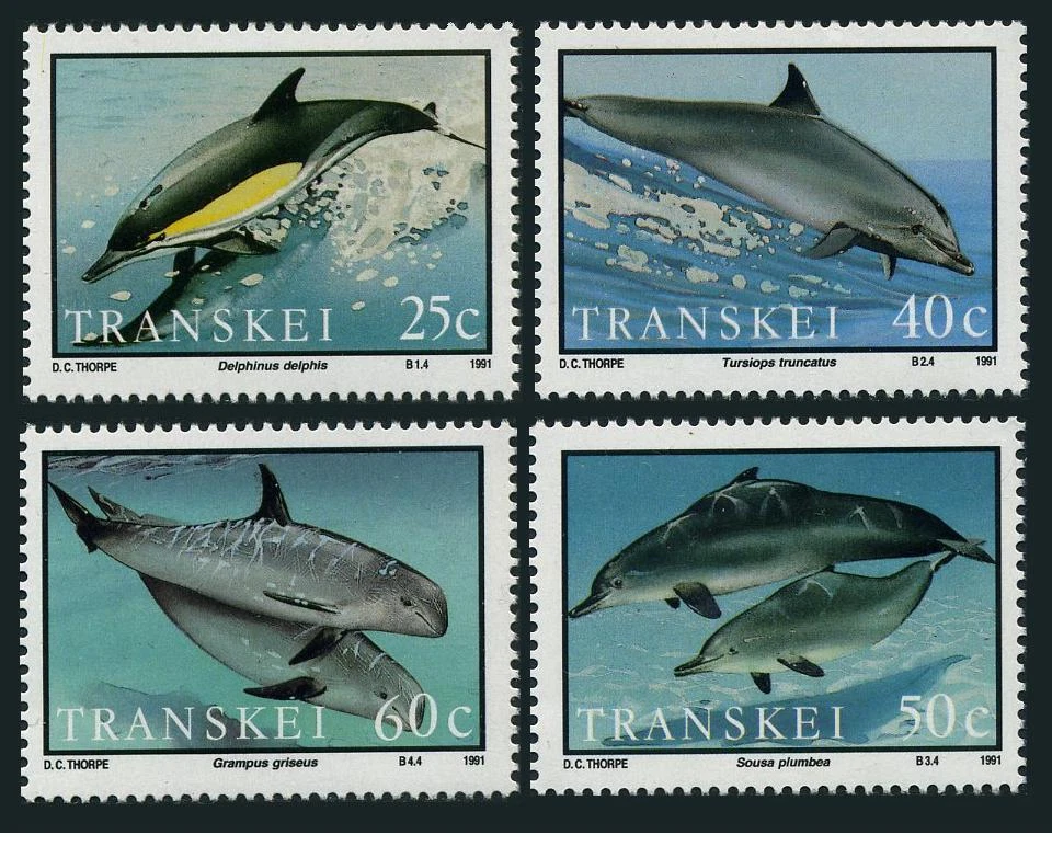 SA-Transkei 251-254, MNH. Michel 267-270. Dolphins 1991. Delphinus delphis. - Image 1 of 1