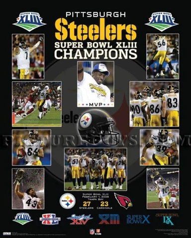 Pittsburgh Steelers Super Bowl 43 Championship Picture Plaque Cover