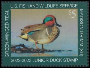 US JDS30 Junior Duck Green-winged Teal $5 single (1 stamp) MNH 2022-2023