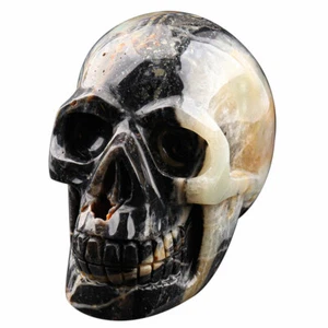 4.2" Nature Amazon Carved Crystal Skull, Realistic-Skull Gemstone & Crystal - Picture 1 of 8