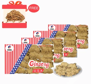 ENG 100%Hand Selected Five year old American Ginseng Pearl Root(4oz / box)纯正半野山参 - Picture 1 of 5