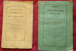 Vasconcellos, da Camara - Crise Agricola Madeira Funchal 2 works 1st edit. 1876 - Bild 1 von 12