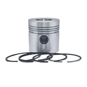 KOLBEN + KOLBENRINGSATZ (0,50-105,50 Mm):ruggerini/crd 105/RP 380 - Picture 1 of 2